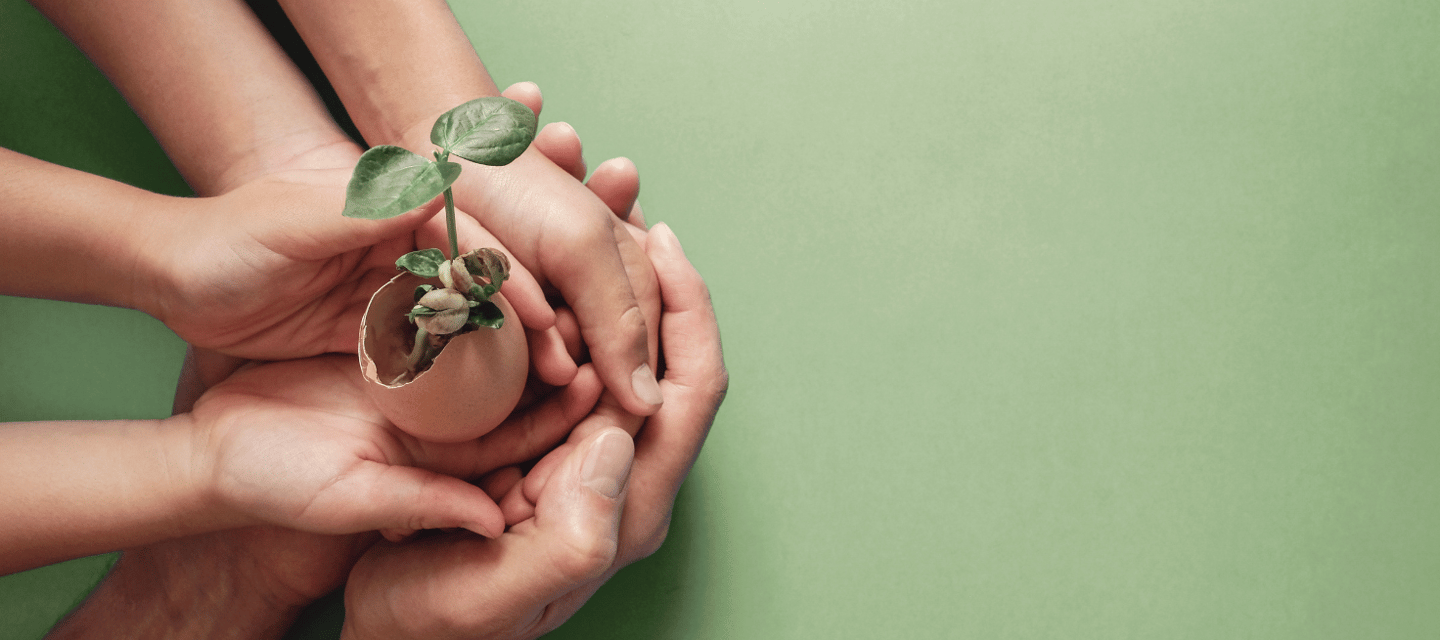 Acerca de nuestra conciergería