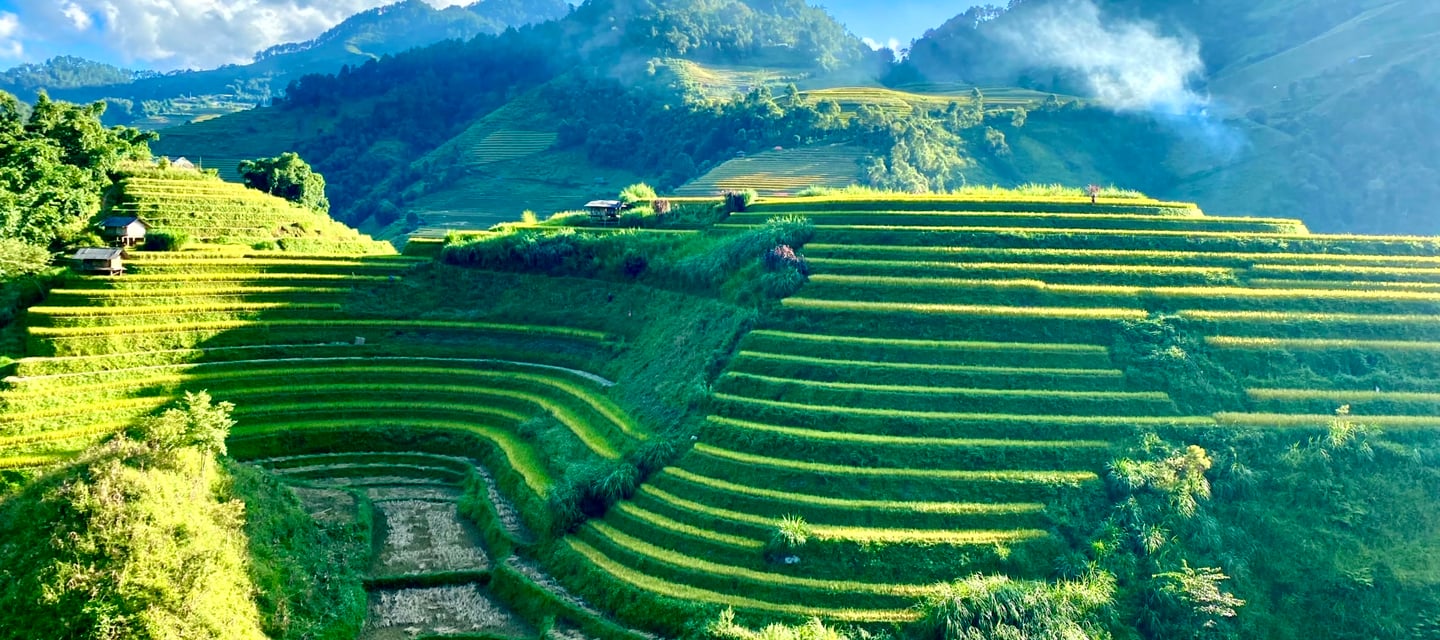 Rice terrace