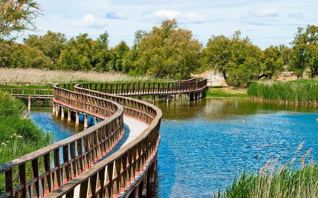 VISITA GUIADA TABLAS DE DAIMIEL