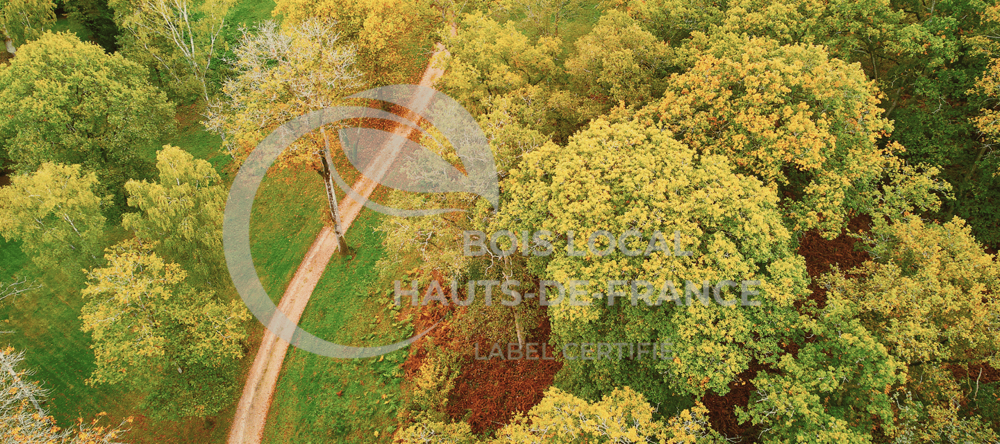 une route avec un chemin de terre et des arbres en arrière-plan