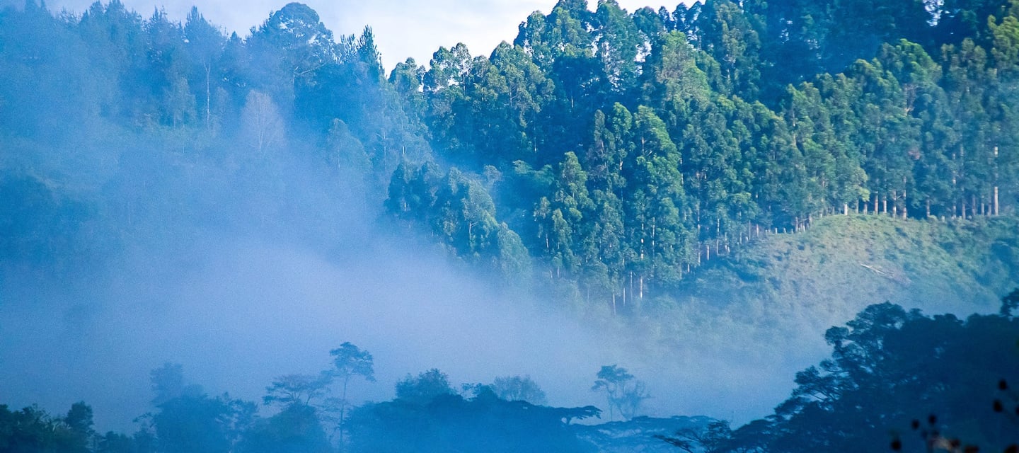 Booking online, panorama y vista sorprendente en Casa Quincha Glamping