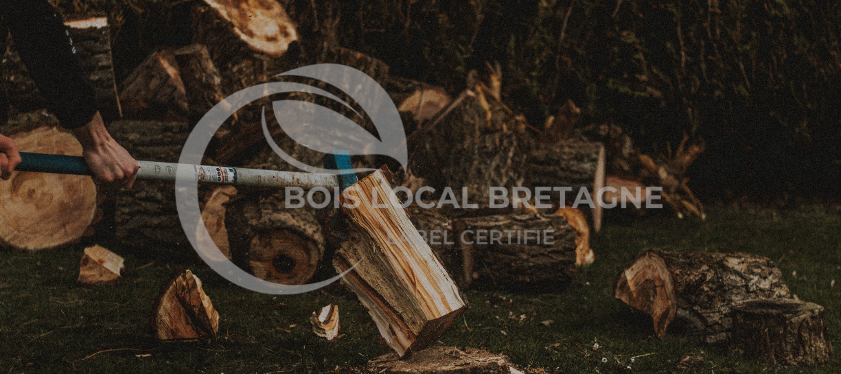 une personne tenant une grande hache avec une grande hache en arrière-plan