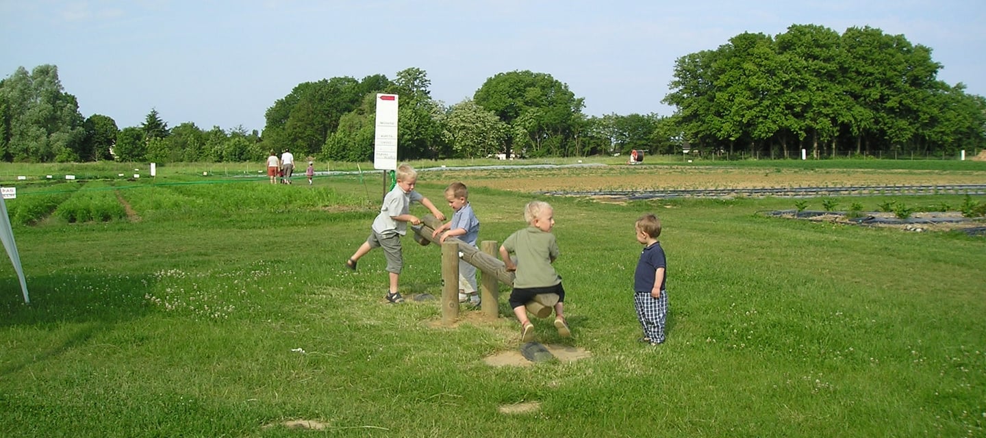 La Brosse, jardin maraicher - archive