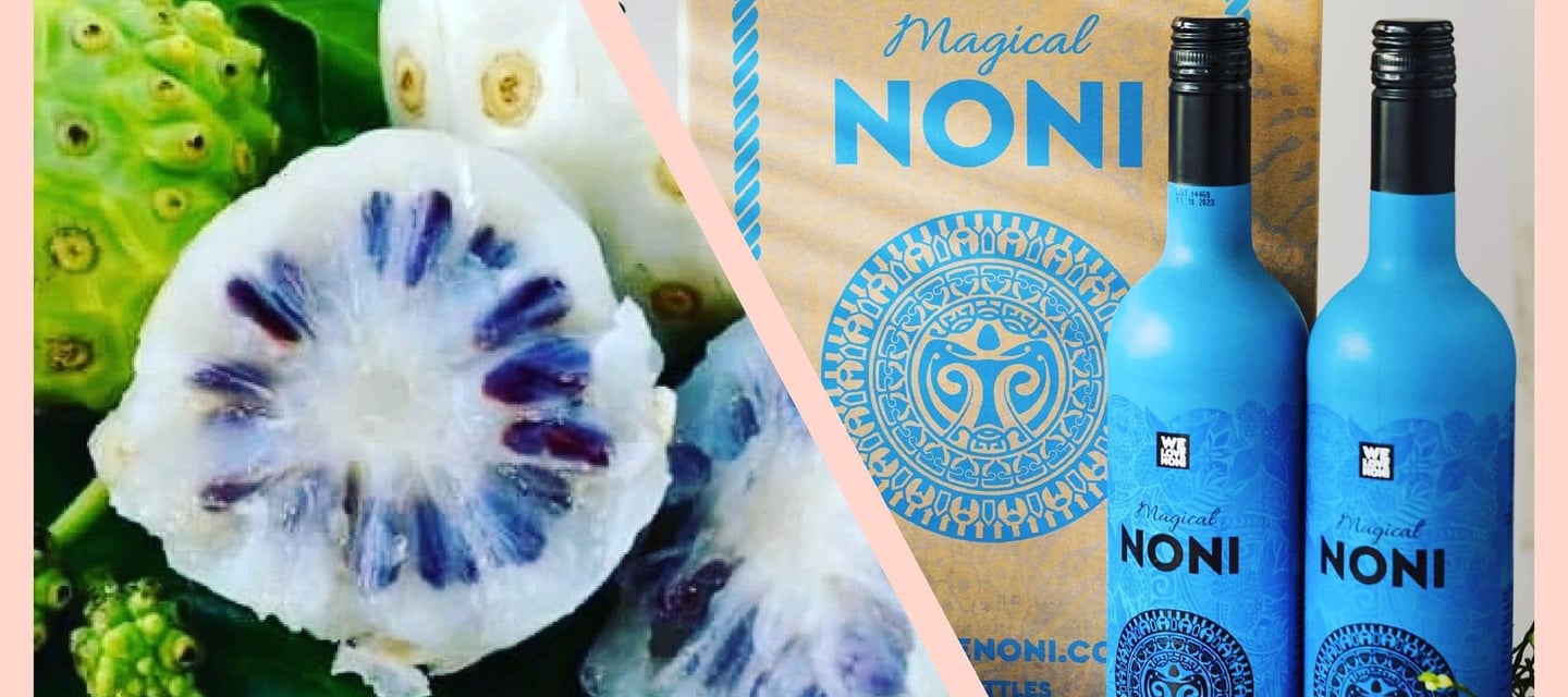 magical noni with high nutrient content