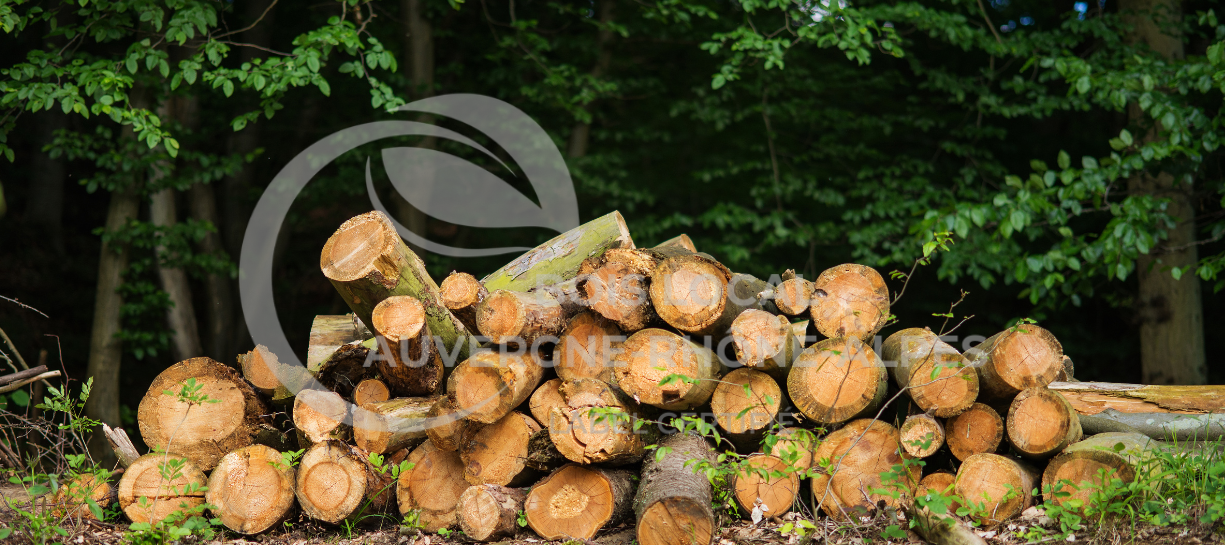 un tas de bûches empilées les unes sur les autres