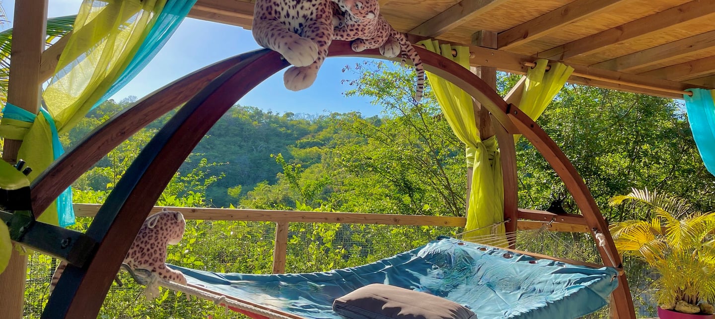 Voyage France Guadeloupe Chez Ade