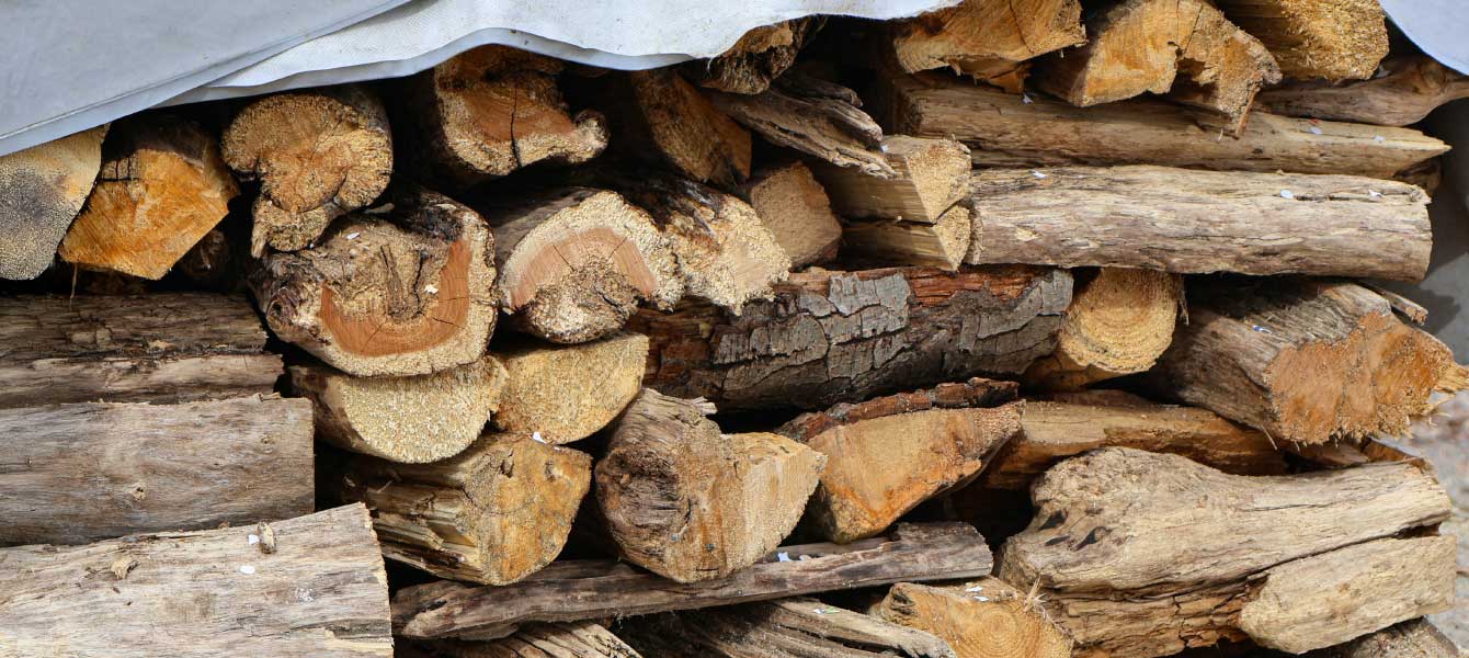 Ramonage ramoneur Nante reze vertou 