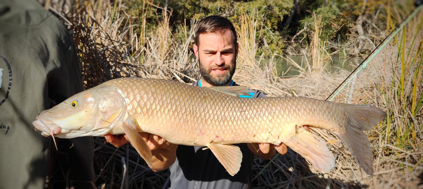 a man holding a fish barbel fish