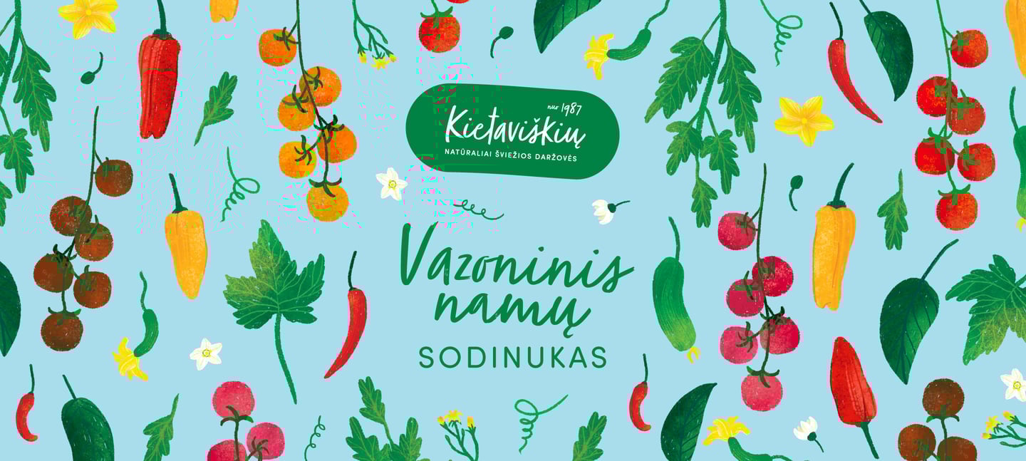 Kietaviškių vazoninių augalų iliustracijos – stilizuoti pomidorai, paprikos, agurkai ir čili viename kadre.