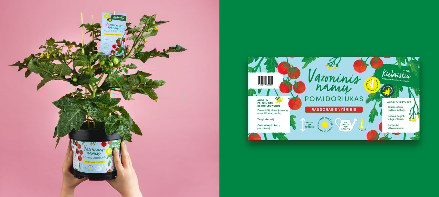 Kietaviškių vazoninio pomidoro iliustracija – ryškus stilizuotas autorinis pakuotės dizaino elementas.