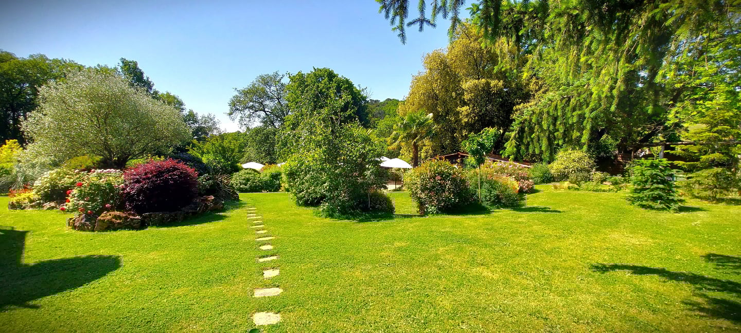 Jardin arboré et verdoyant