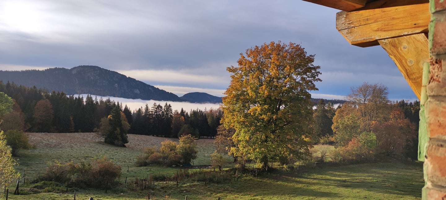 Vue sur la Dent de Vaulion à La Petite Échelle : une destination idéale pour se ressourcer.