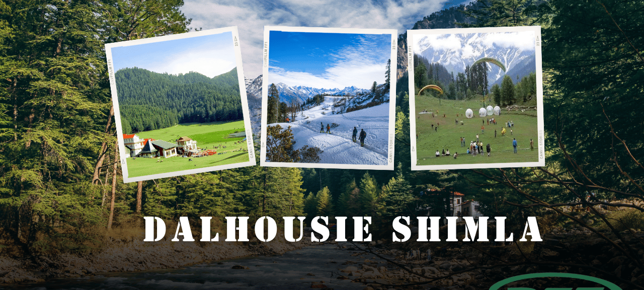 a group of people are taking pictures of themselves in the mountains