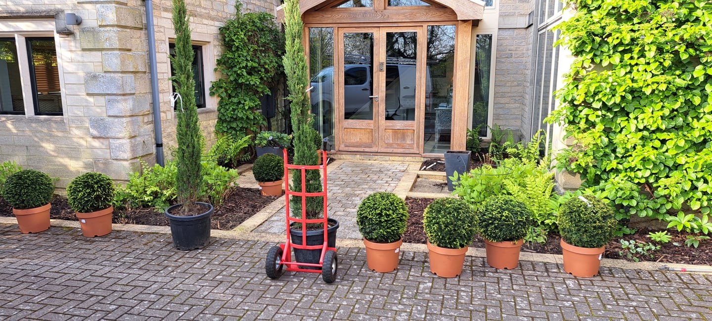 Trees and shrubs being delivered 