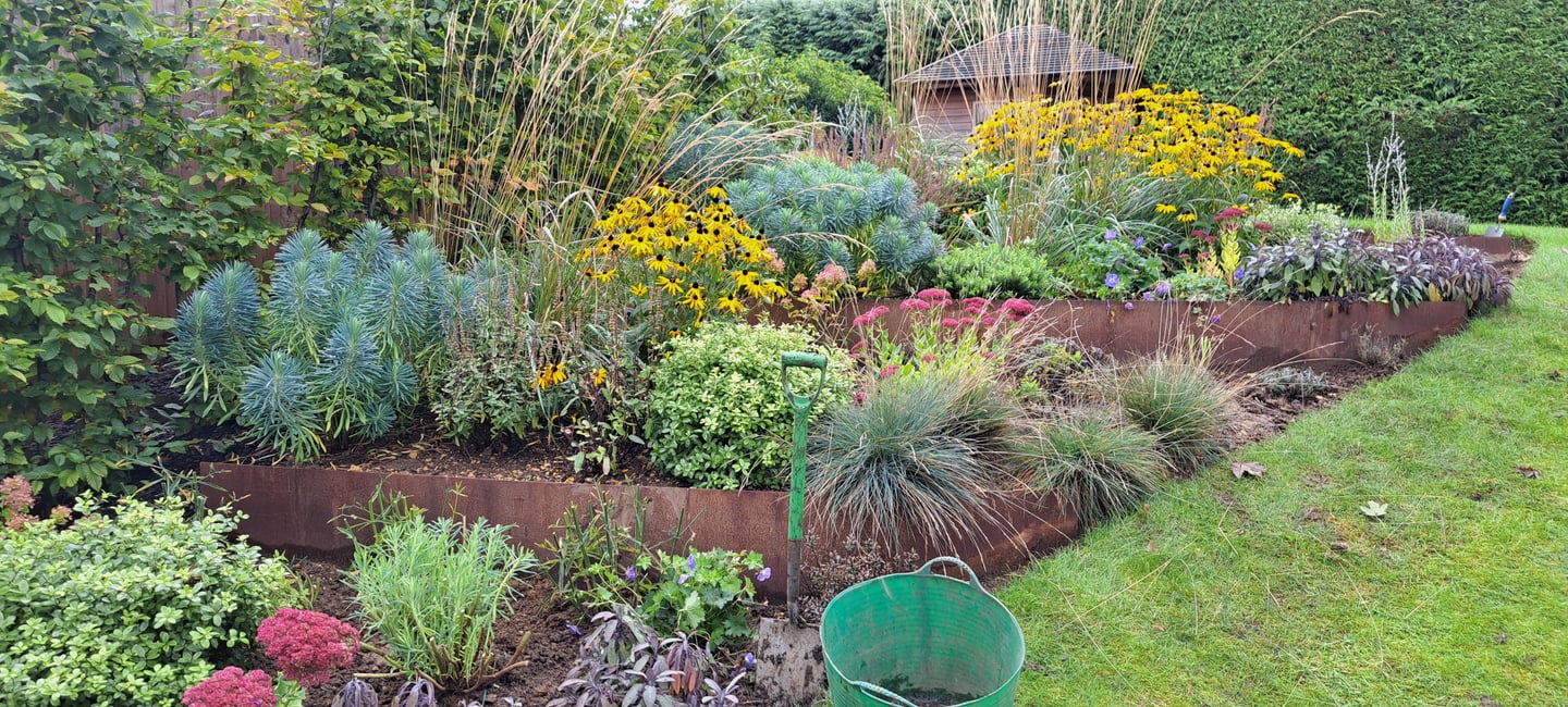 Mixed perennial border 