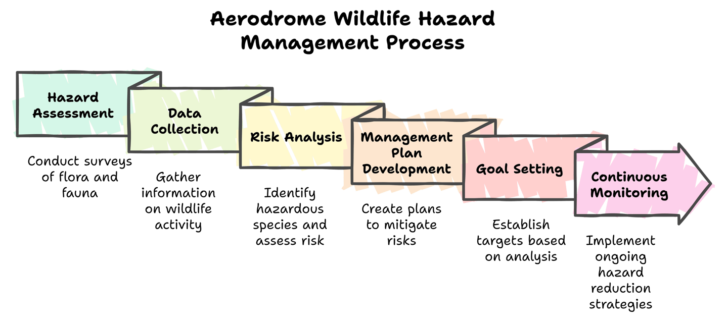 A graphical diagram displaying the Aerodrome wildlife hazards management process