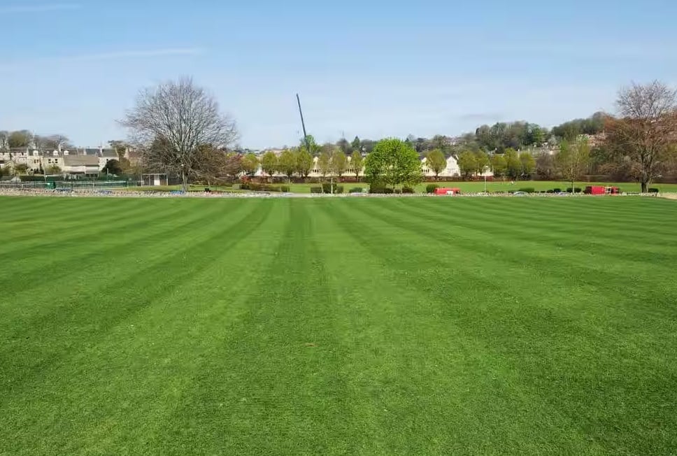 lawn grass suppliers in Andhra Pradesh