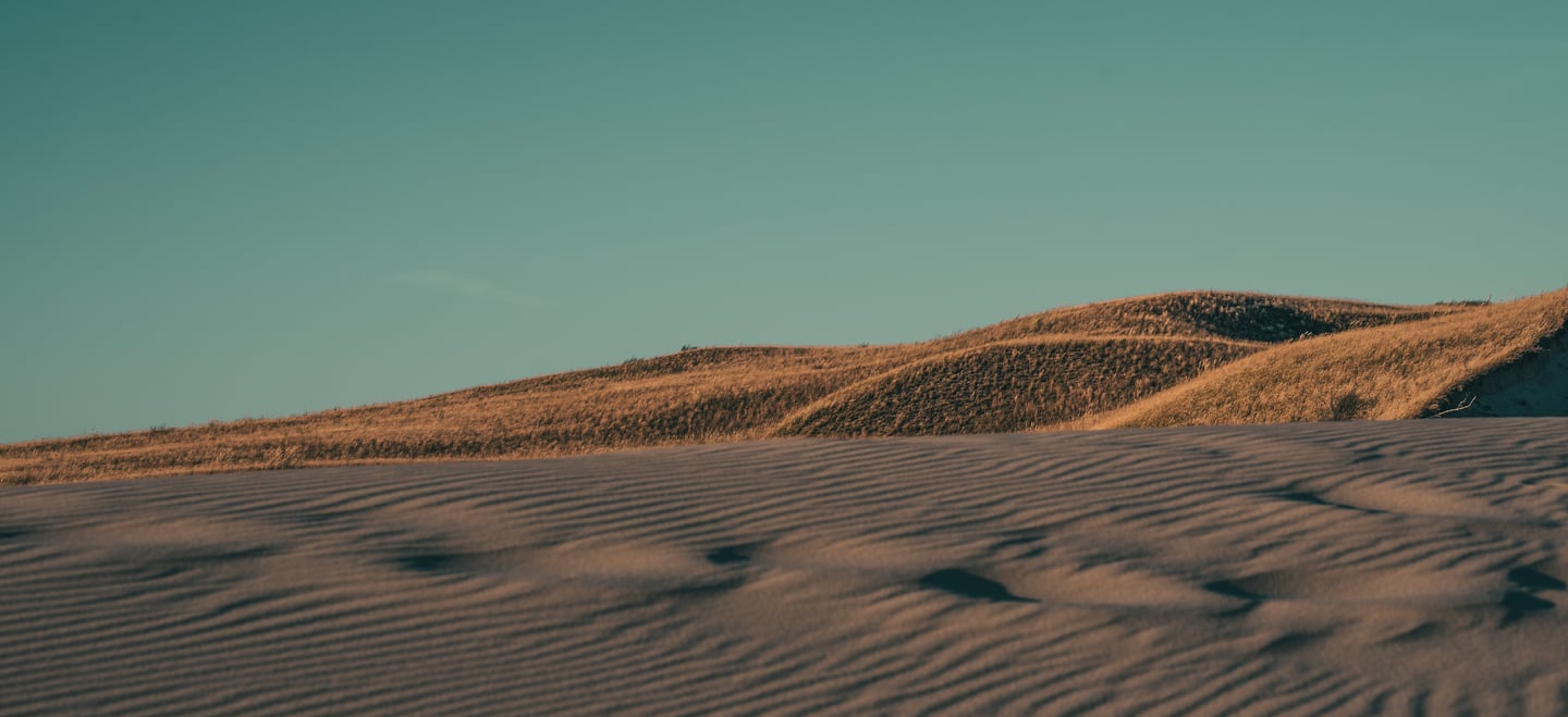 Fotografavimas dronu nidoje kopose
