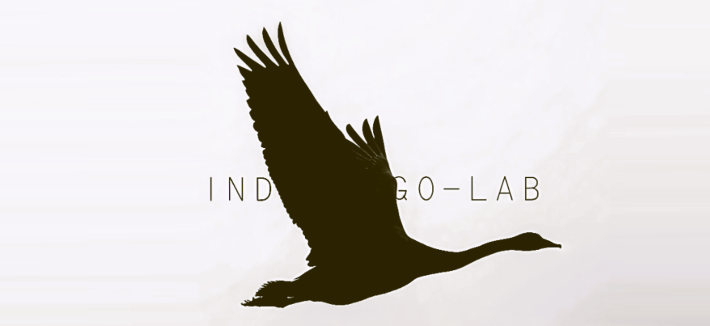 BLACK-SWAN: MOVE TO NEXT TOWARD WITH AI CHALLENGE (VENTURE CAPITAL & INTELLIGENCE ASSETS)