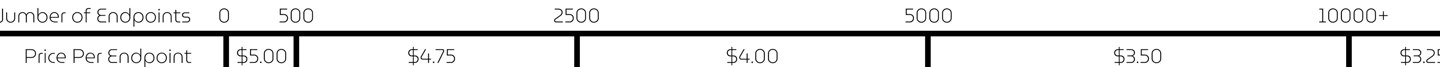 Graphic detailing the price per endpoint per year based on the number of endpoints.
