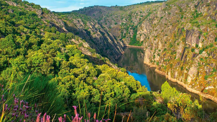 Linha de comboio junto ao Rio Douro na primavera