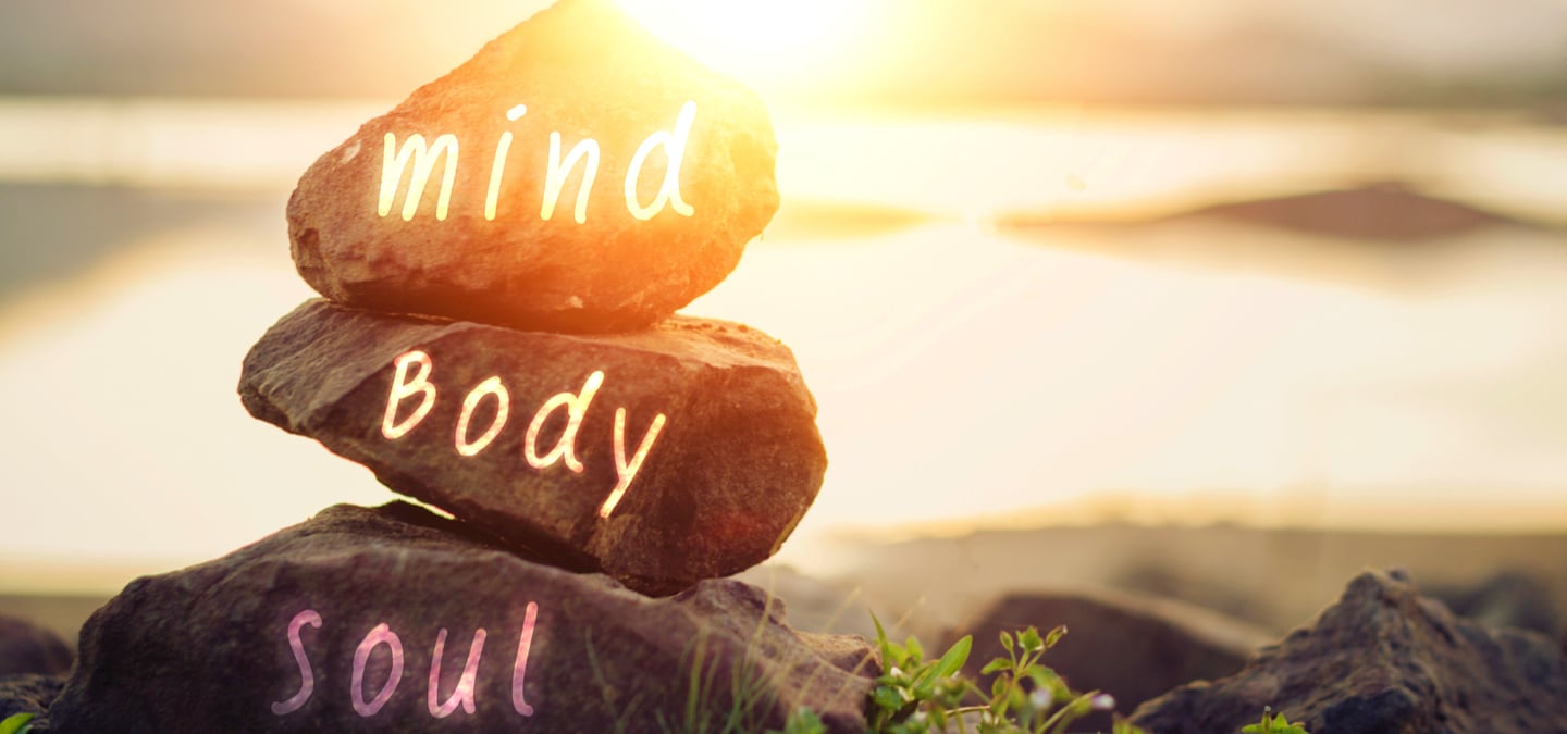 Mind Body Soul