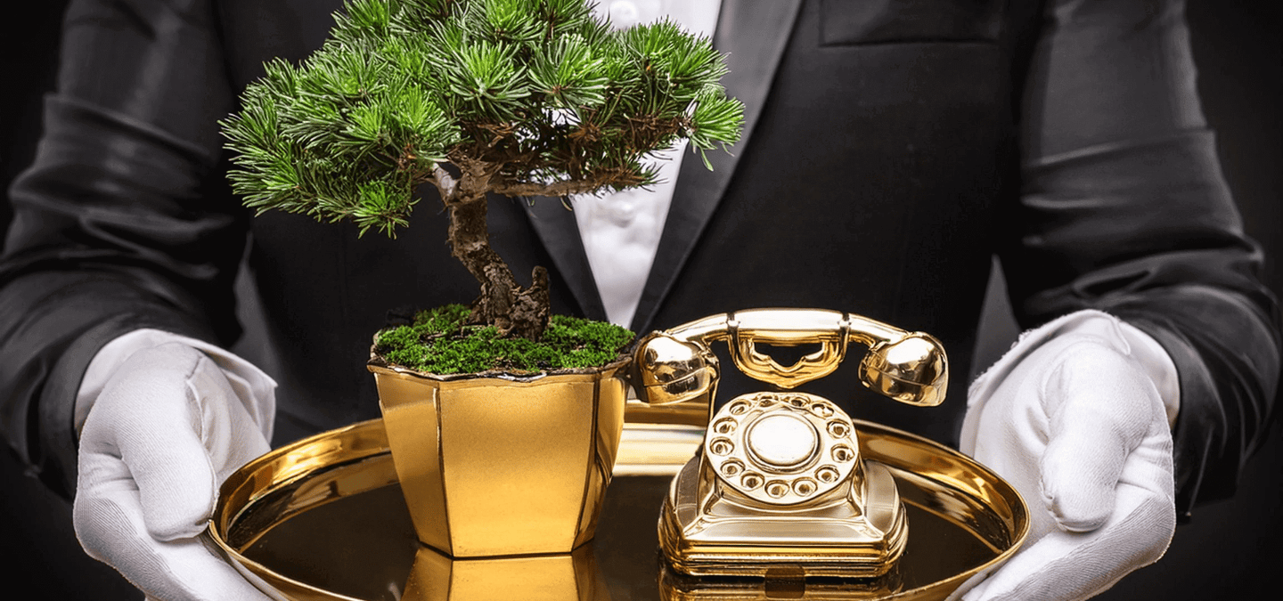 white gloved service agent holding golden phone and bonsai on platter