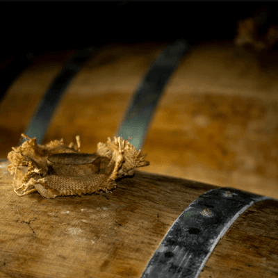 Fut de vieillissement 