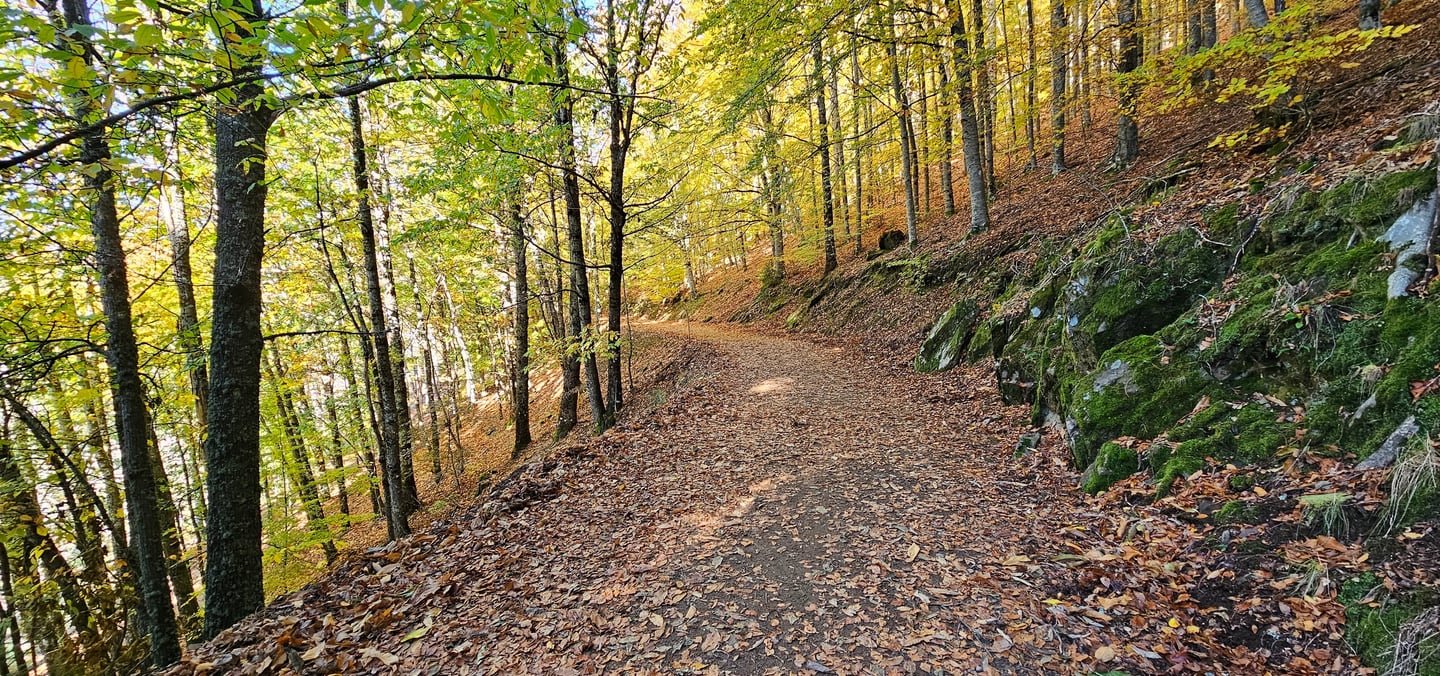 Rota das Faias na Serra da Estrela