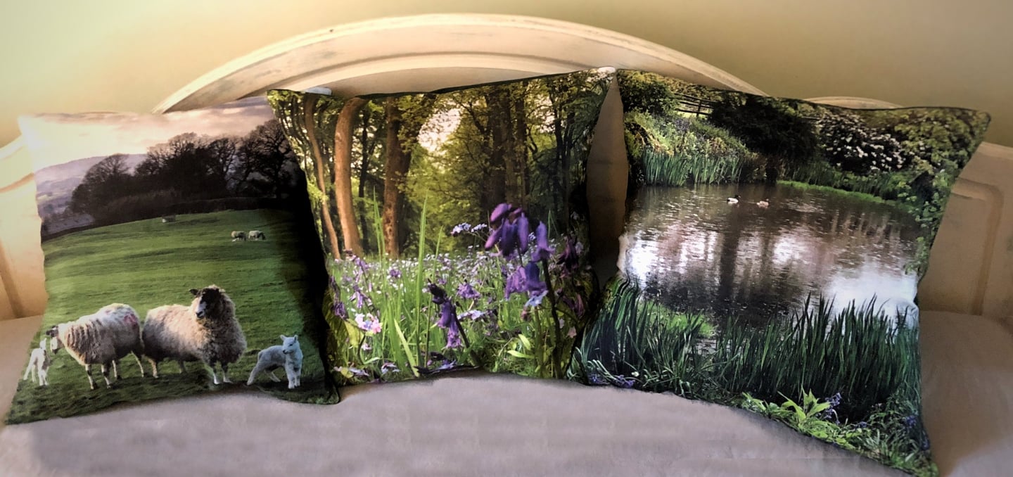 3 linen look, velvet backed cushions with original photographic images depicting the green of nature