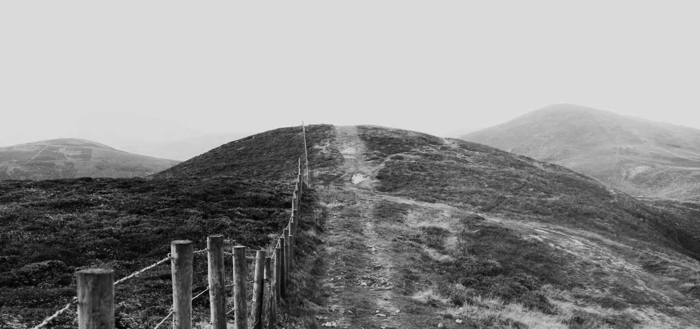 A picture to show boundary by Sylwia Bartyzel on Unsplash