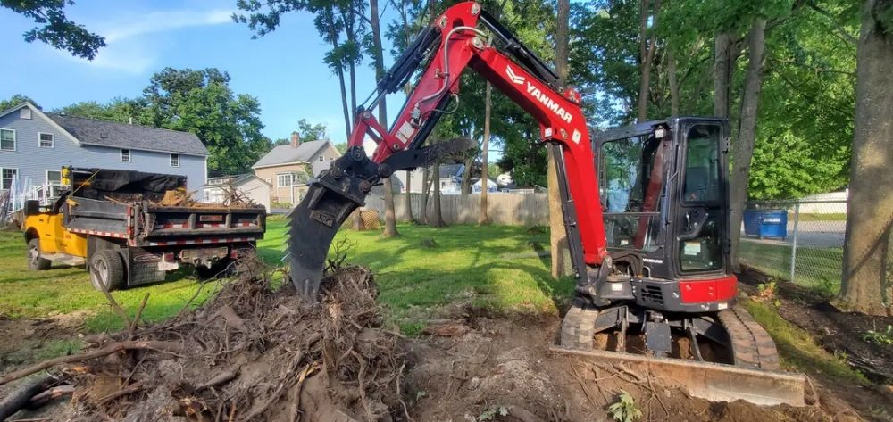 A mini excavator with a ripper attachment digs around the base of a large tree stump