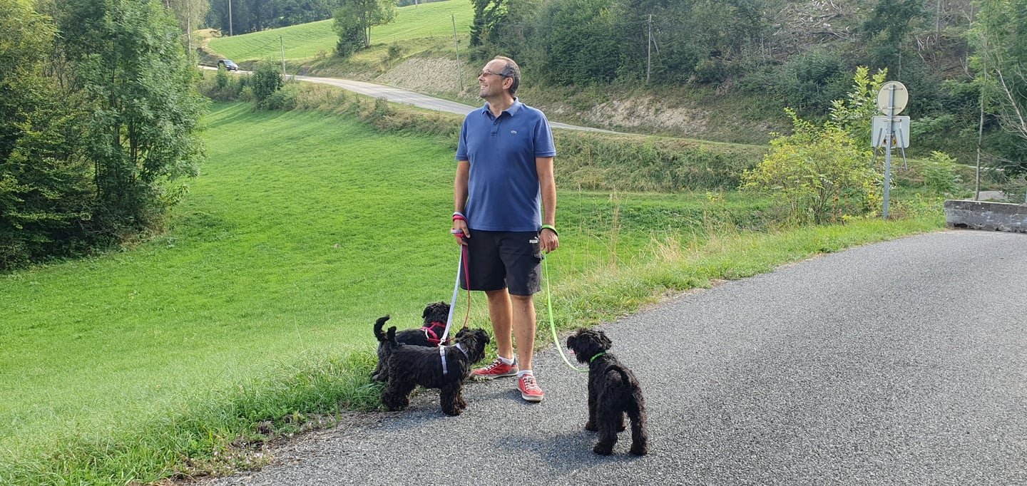 Eleveur et ses Schnauzers en balade