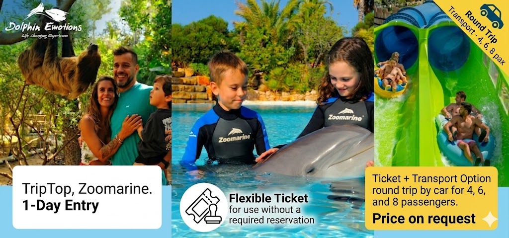 Family at Zoomarine enjoying a dolphin encounter and water park slides with flexible tickets.