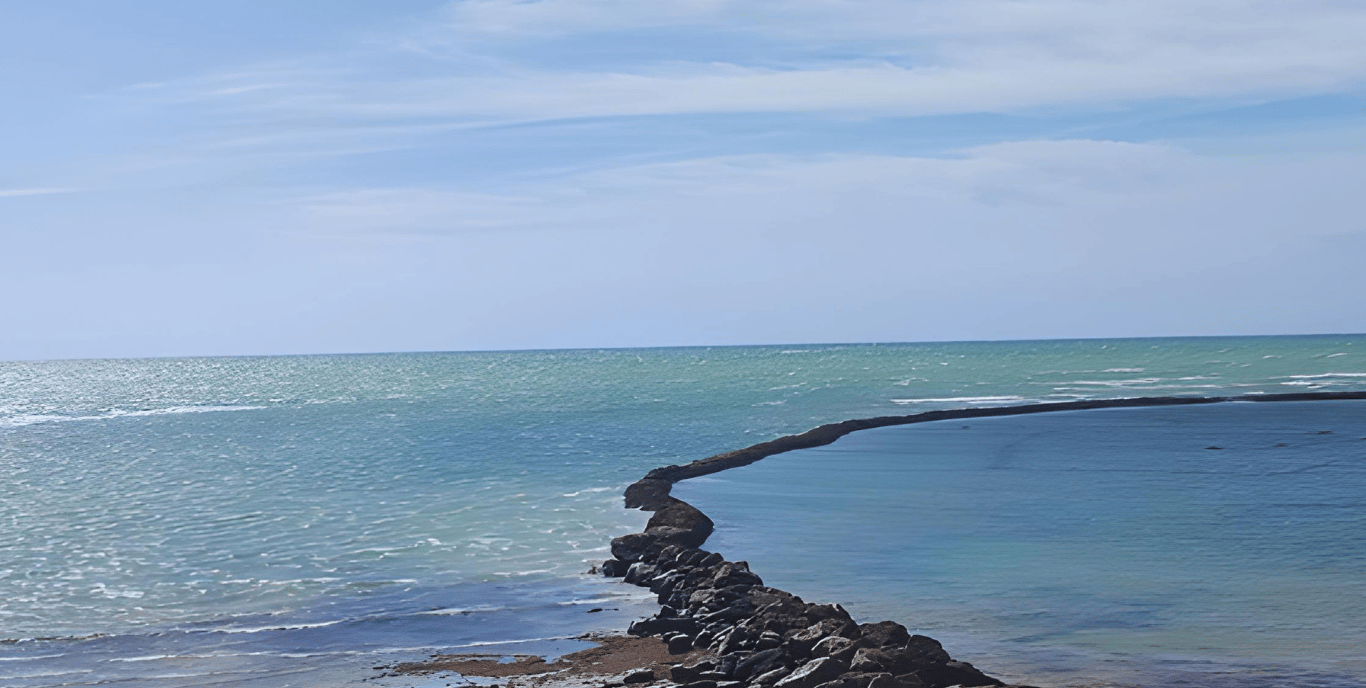 Reaching Out - Chipiona - Andalucia - Spain 
