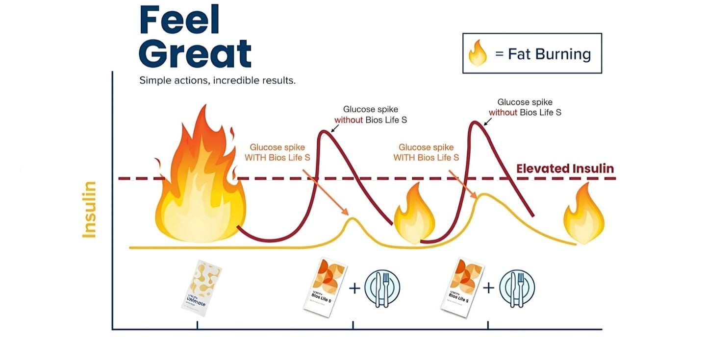 feel-great-fat-burning