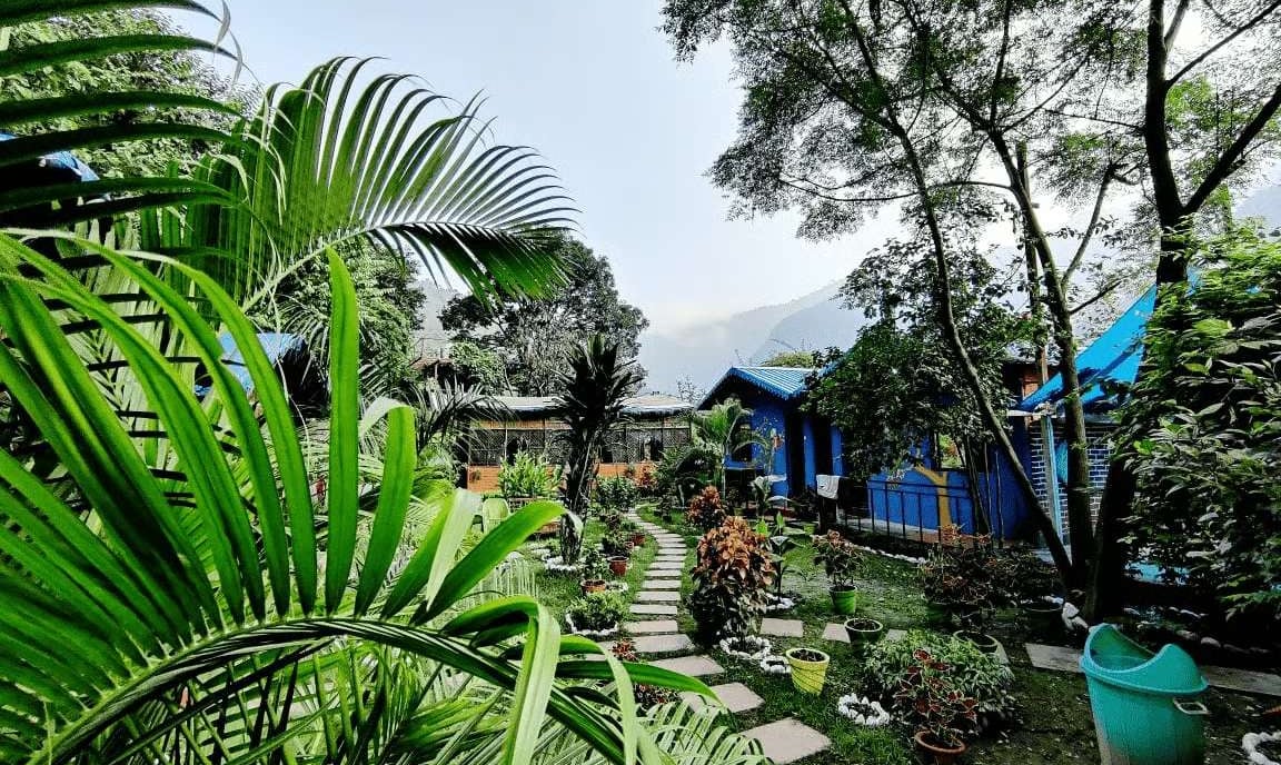 Jungle Lore Resort overview with natural surroundings in Rishikesh