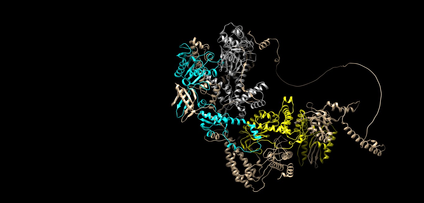 Análisis in silico de POLE predicha por AlphaFold por Dr. Pablo A. Méndez Médico Genetista