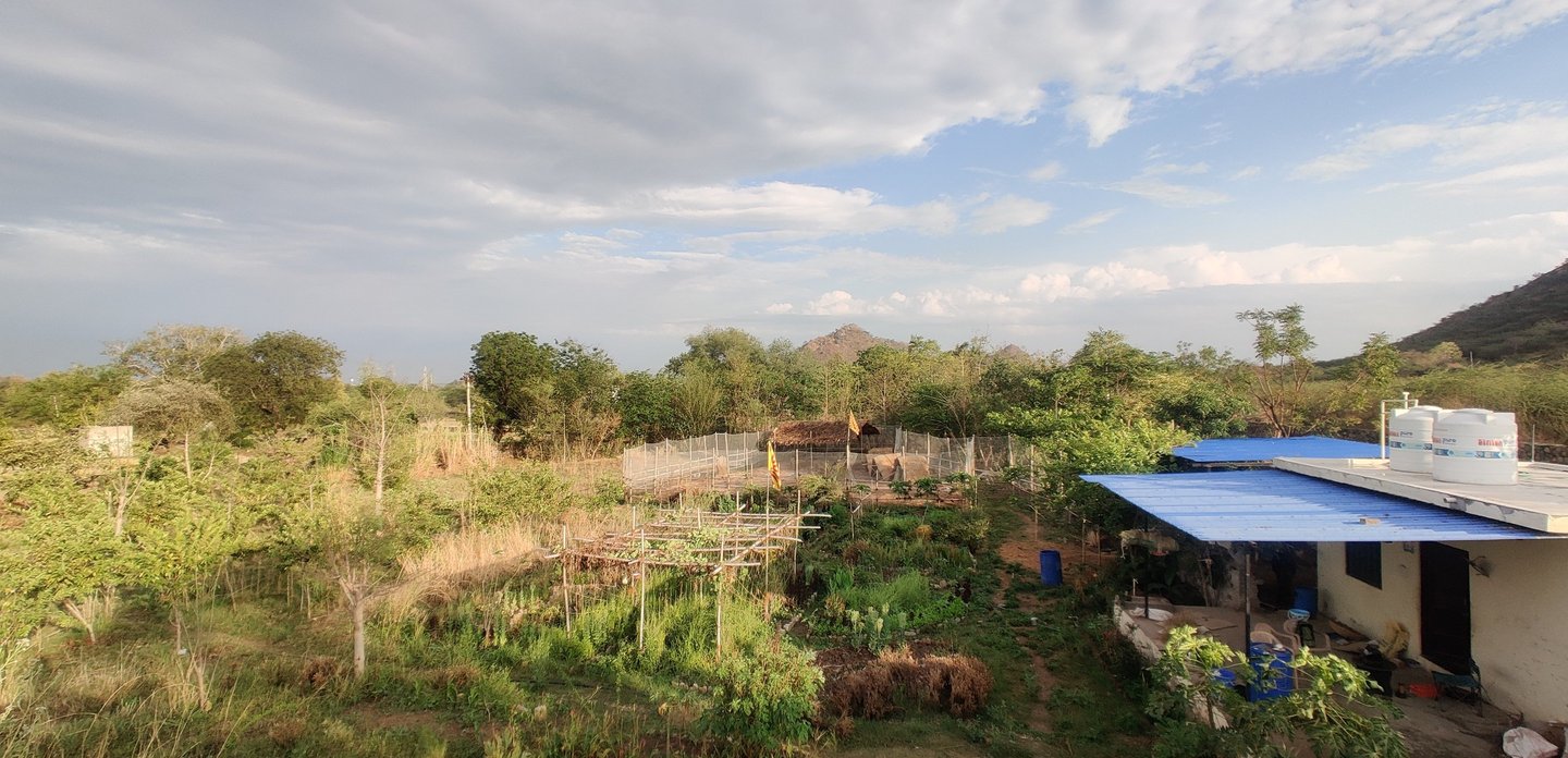 Satvik permaculture farm top view in Udaipur