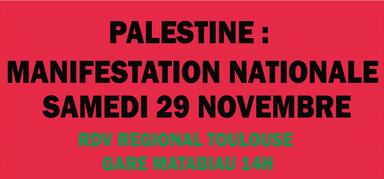 manifestation Palestine toulouse