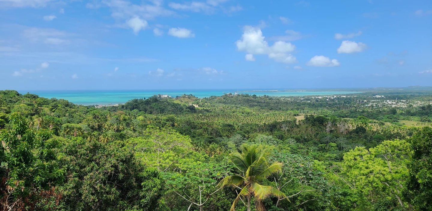 Vista Serena: The Reference Estate for Investing in Miches