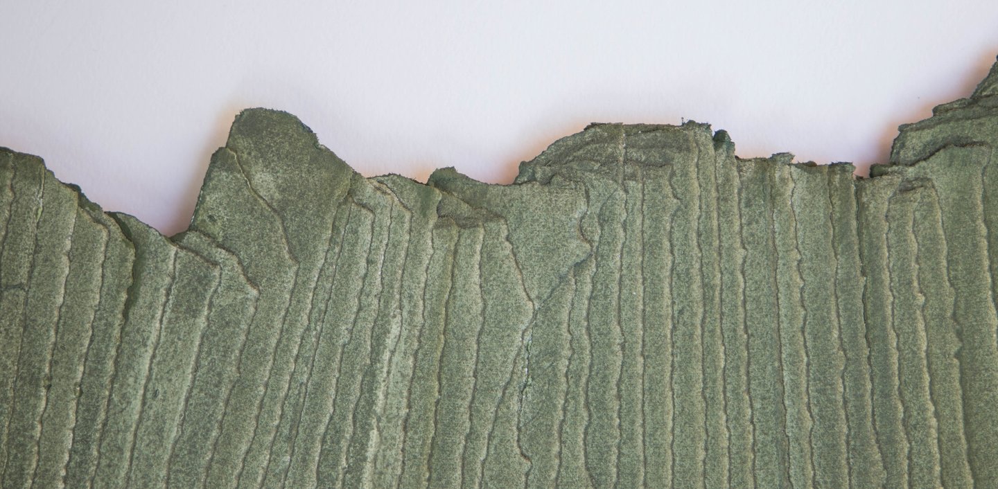 Dettaglio Verde Ulivo - Lavagna Genova - Officina Cromatica