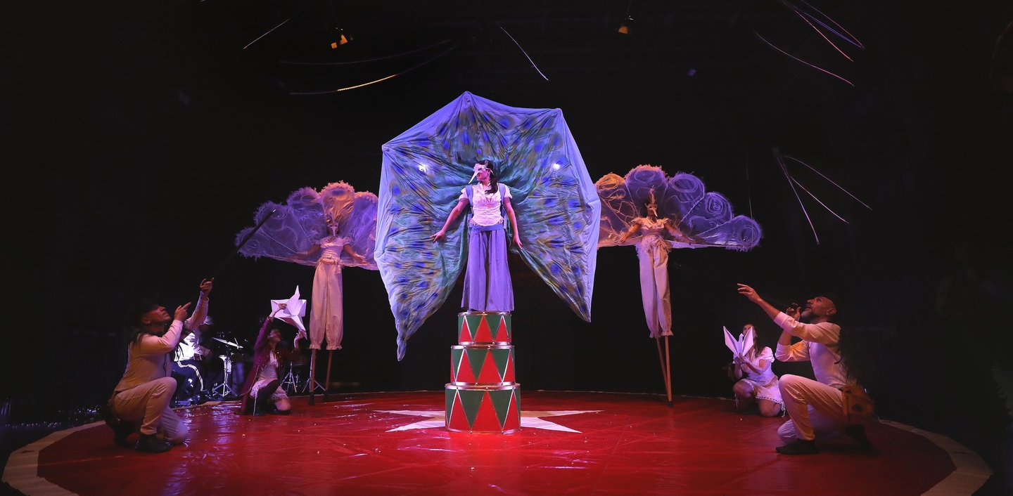 Una donna con un costume da Pavone sul palco insieme ad altri figuranti nello spettacolo di circo