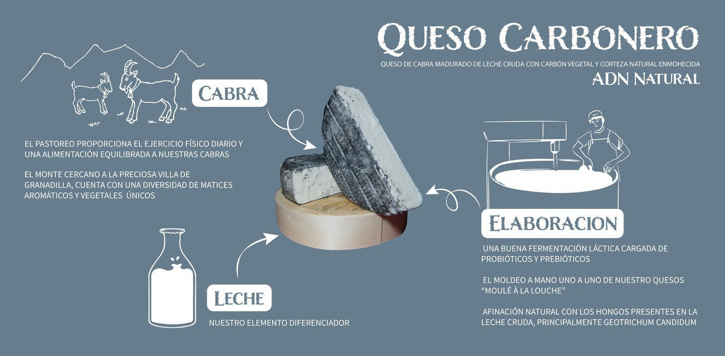 Infographic for Queso Carbonero artisanal goat cheese showing the milk, goats, and natural maturation process.