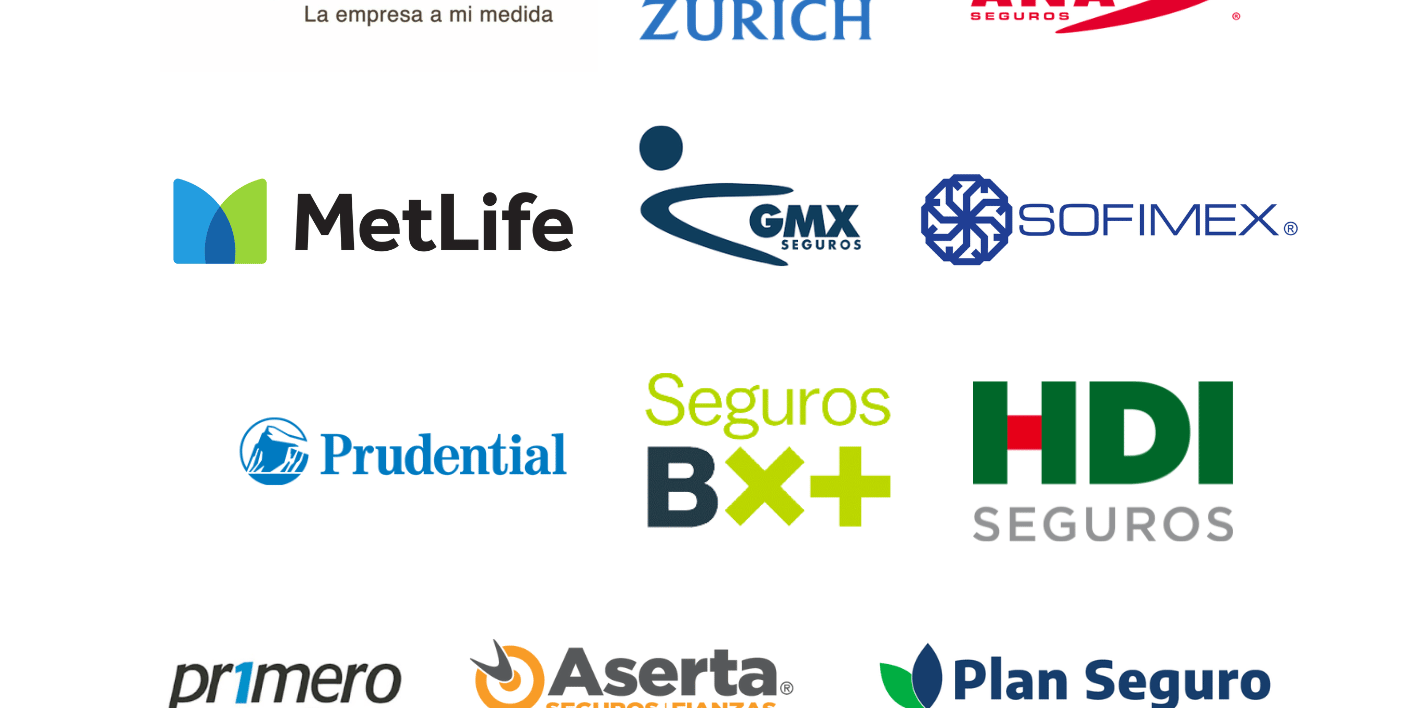 empresas que maneja zinergia