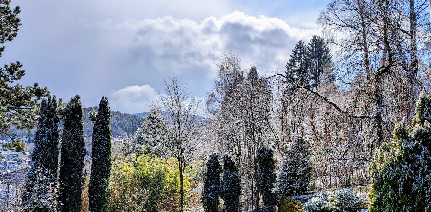 Gartenblick nach Süden