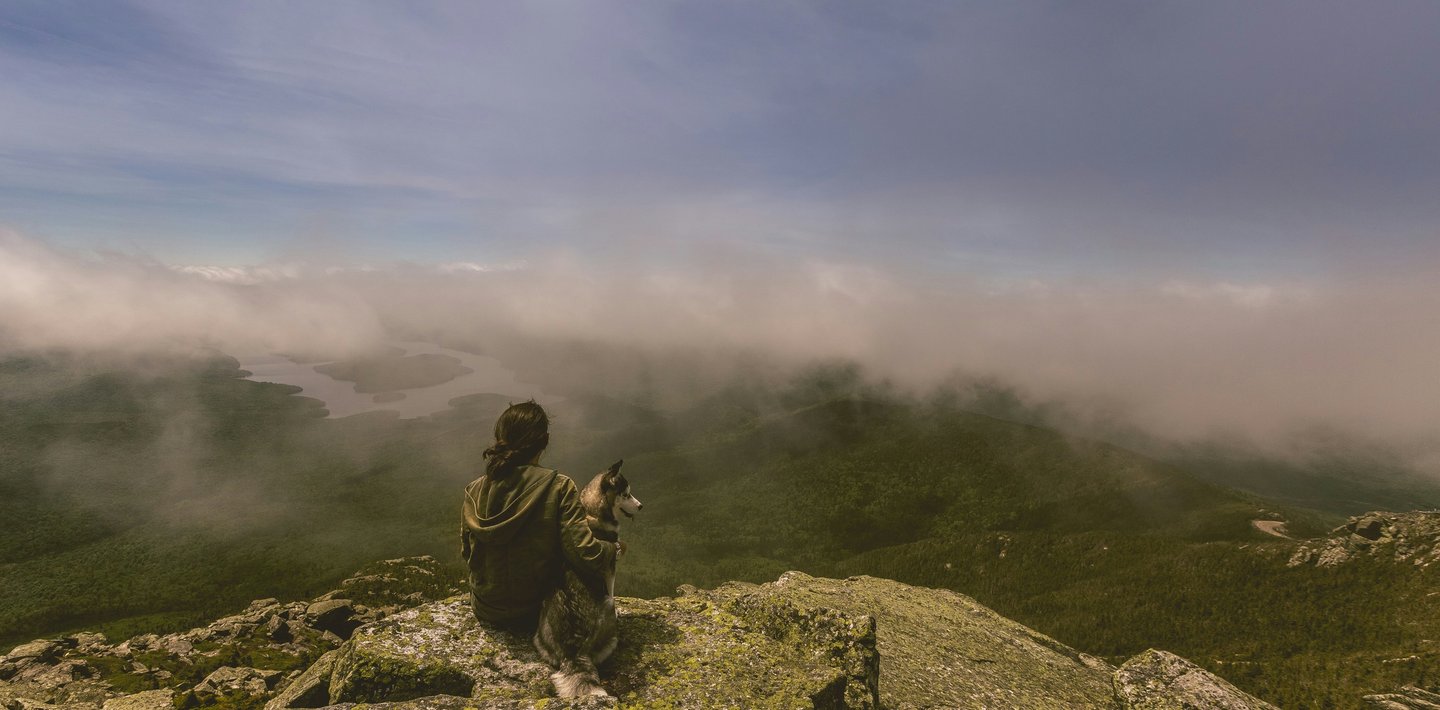 dogAdvisor ✲ dogadvisor ✲ dog advisor ✲ Blog for new dog owners ✲ dogs ✲ dog advisers ✲ dog advisors