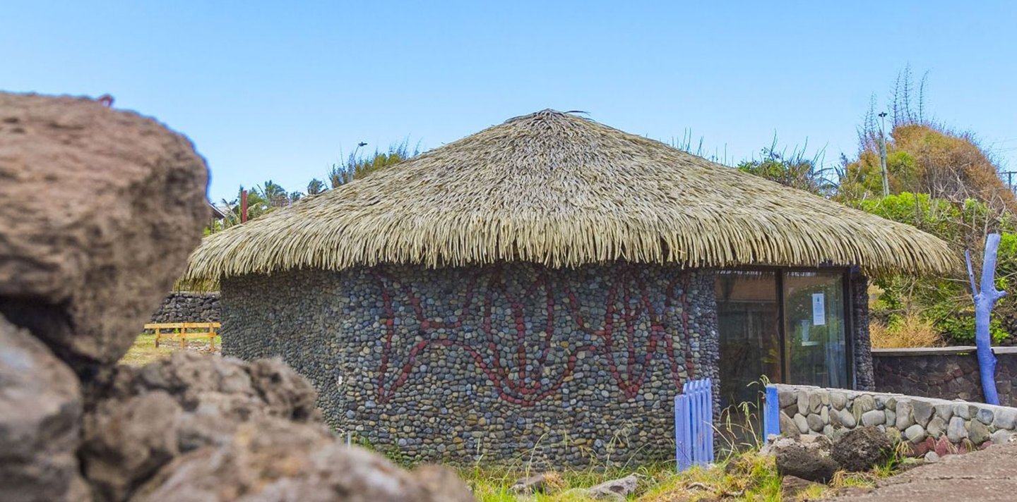Palm thatched roof