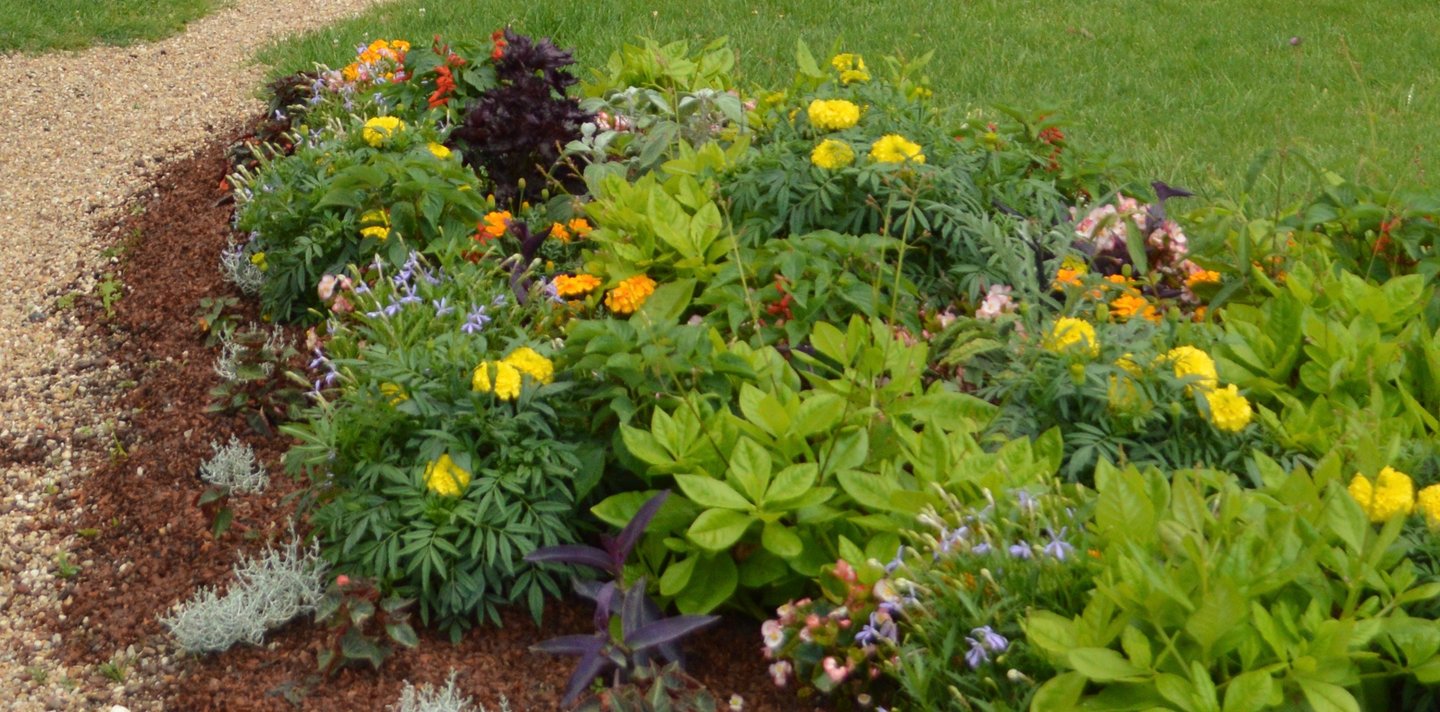 Création de massifs à Soisy-sur-Seine et aux alentours.