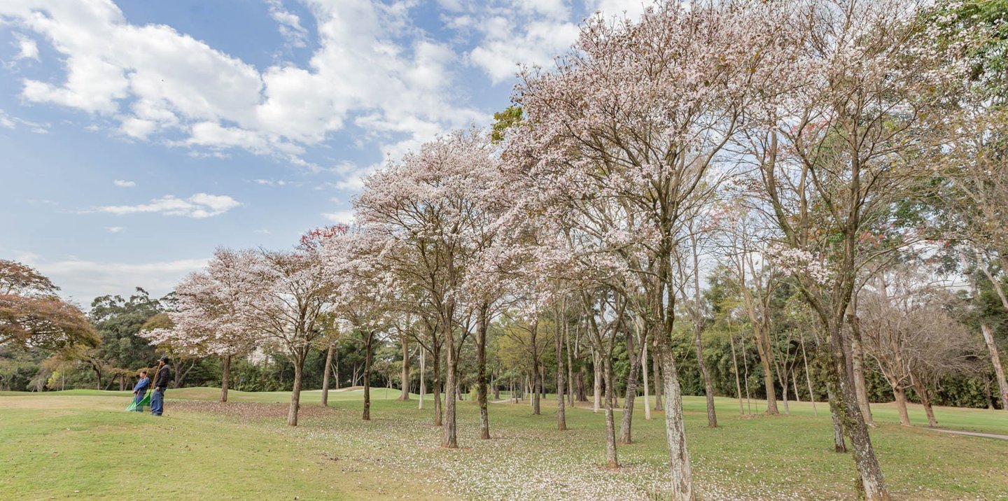 gestão ambiental em áreas verdes empreendimento imobiliário